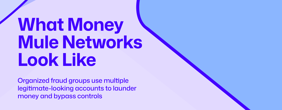 money mule account fraud, fraud detection, fraud prevention