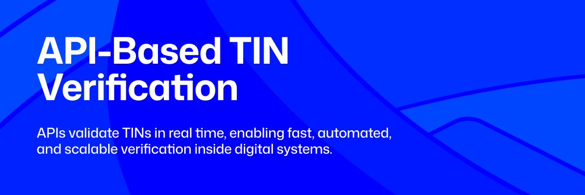 manual process vs api for TIN verification in Nigeria, TIN verification, Tax identification