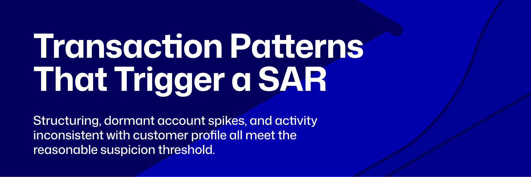 Suspicious activity reporting for fintechs