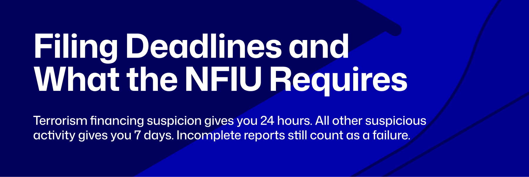 Suspicious activity reporting for fintechs