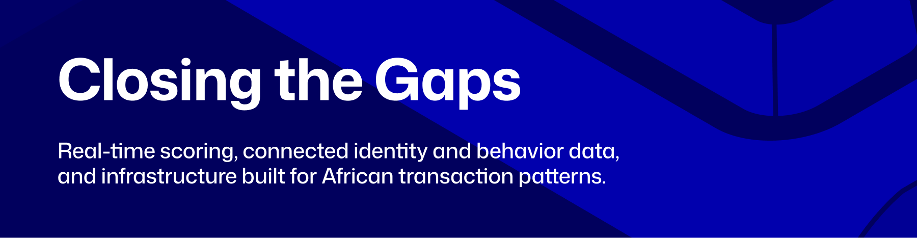 gaps in fraud detection africa