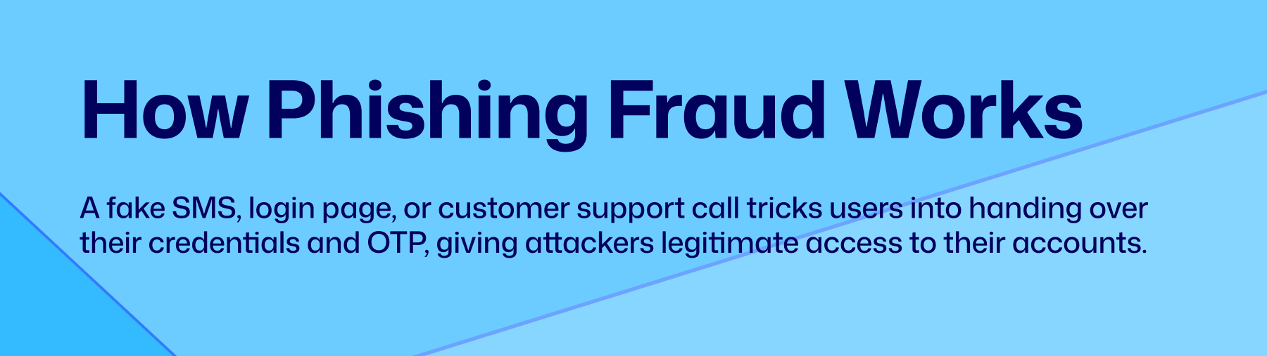 phishing fraud, idenitity verification fraud, fraud monitoring